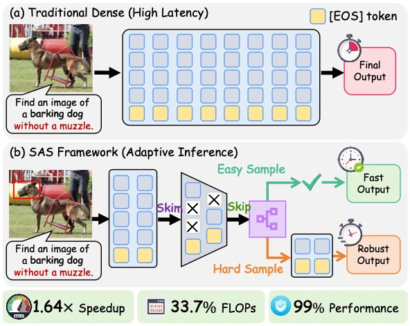 Overview of Skim and Skip hierarchical adaptive inference